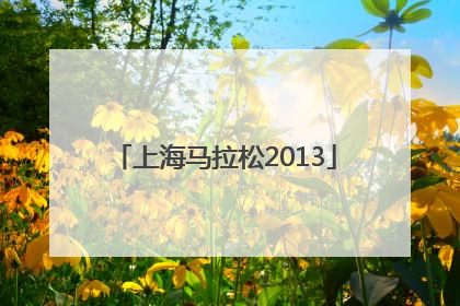 「上海马拉松2013」上海马拉松官网