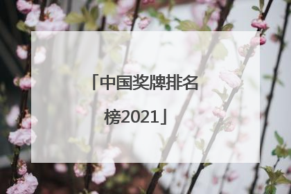 「中国奖牌排名榜2021」中国奖牌排名榜2021图片