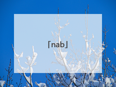 「nab」那不勒斯四部曲